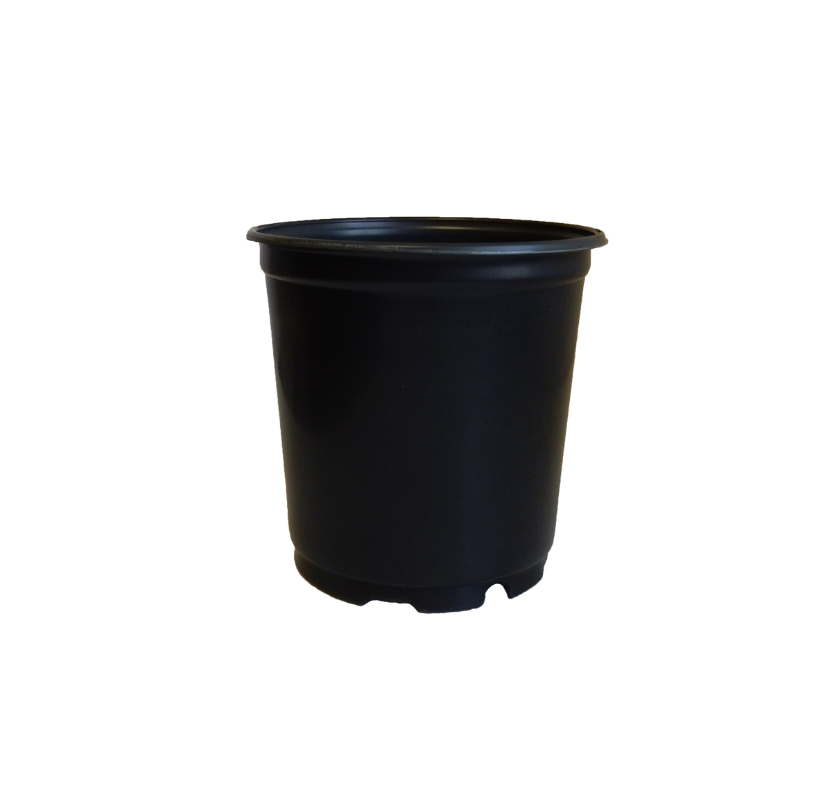 1.00 T1G Squat TL COEX Black/Black - 140 per case - Nursery Containers